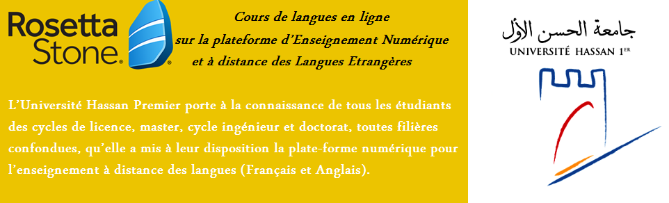 COURS DE LANGUES EN LIGNE SUR LA PLATEFORME D’ENSEIGNEMENT À DISTANCE DES LANGUES ÉTRANGÈRES ROSETTA STONE