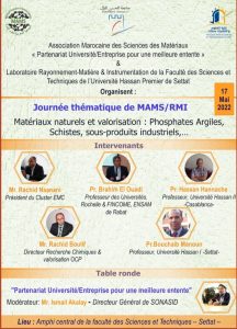 Journée thématique MAMS/RMI